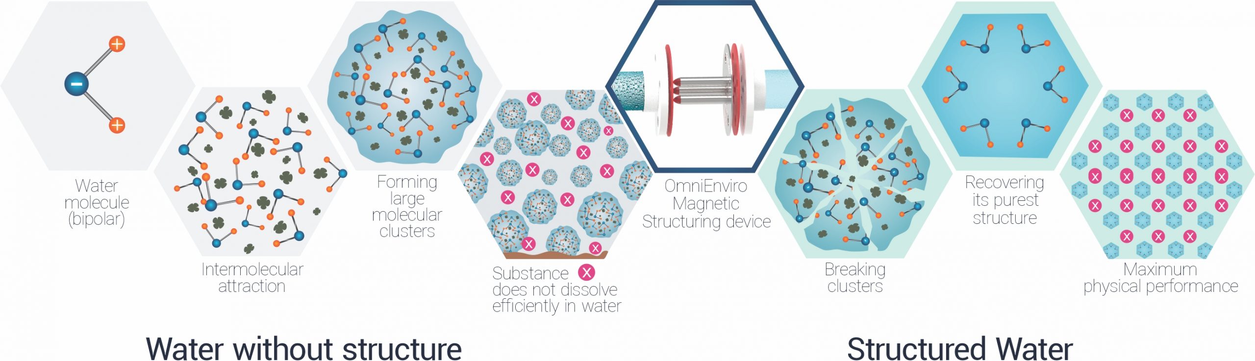 Agua-estructurada-Infografia-de-uso-parte2