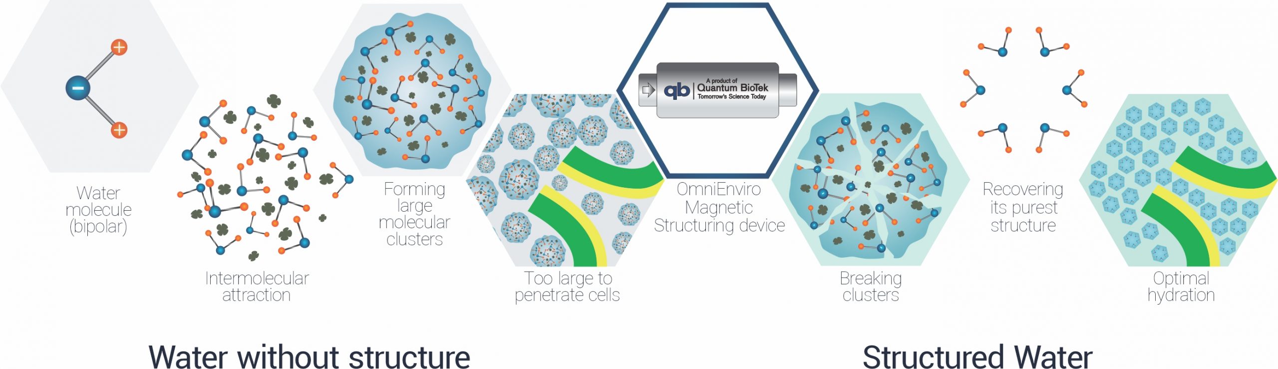 Agua-estructurada-Infografia-de-uso